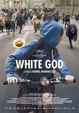 白色上帝,探寻神秘宗教信仰的奥秘与传承