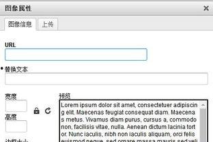 Xander De Rycke: Dit Terzijde,跨界艺术与生活的独特视角