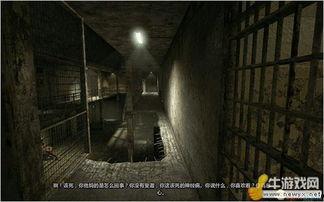 逃出疯人院,一场关于自由与觉醒的心灵之旅