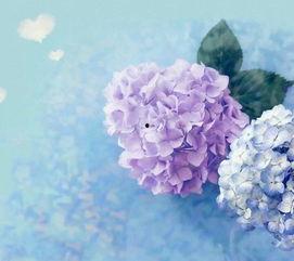 乡村盲医,点亮黑暗中的光明使者