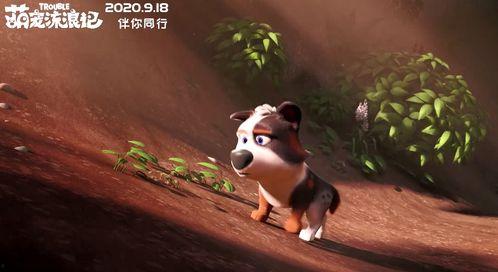 萌宠流浪记（国语版）,温馨治愈的宠物成长之旅